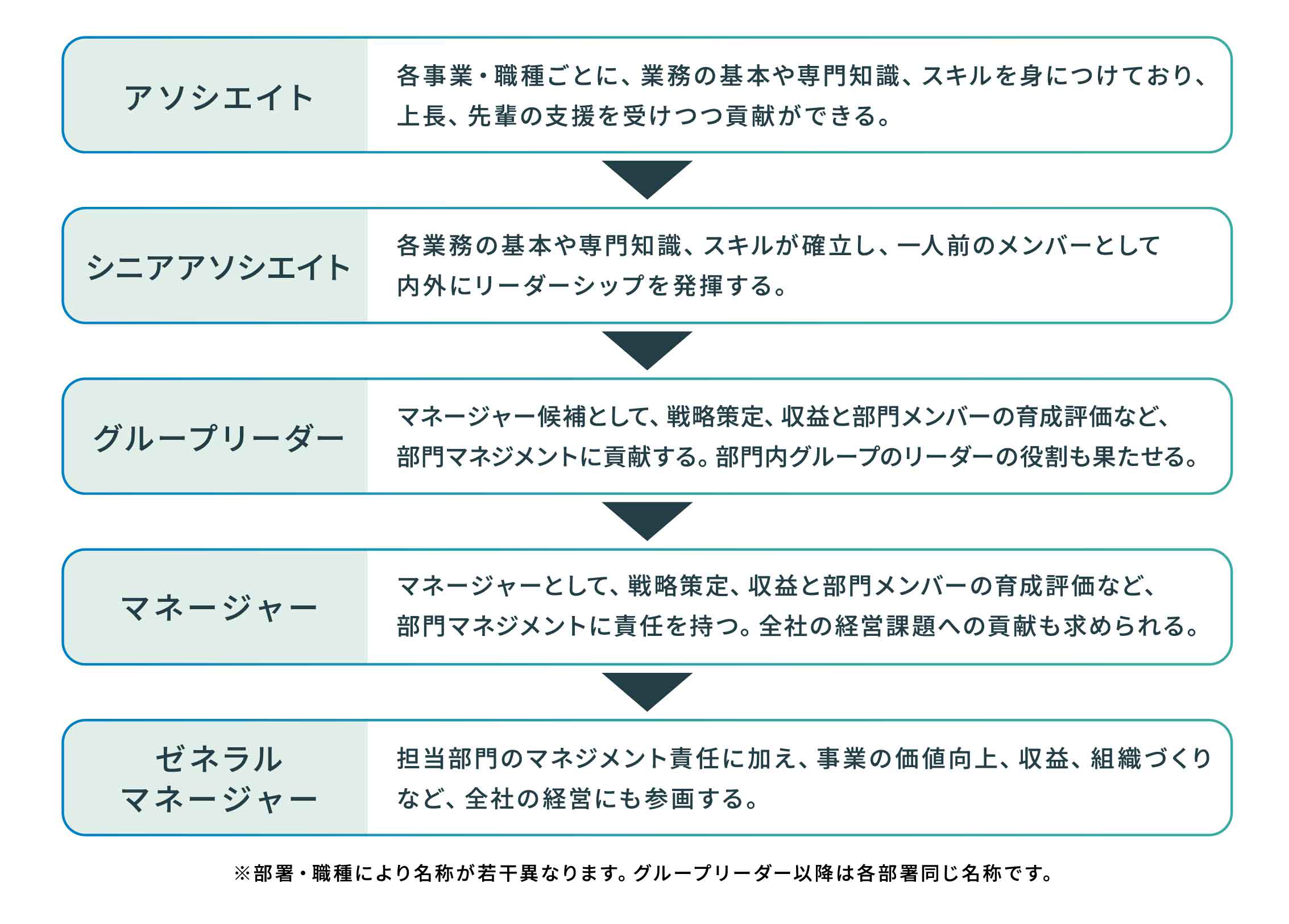 シーズ・ワンの評価制度とキャリアパス