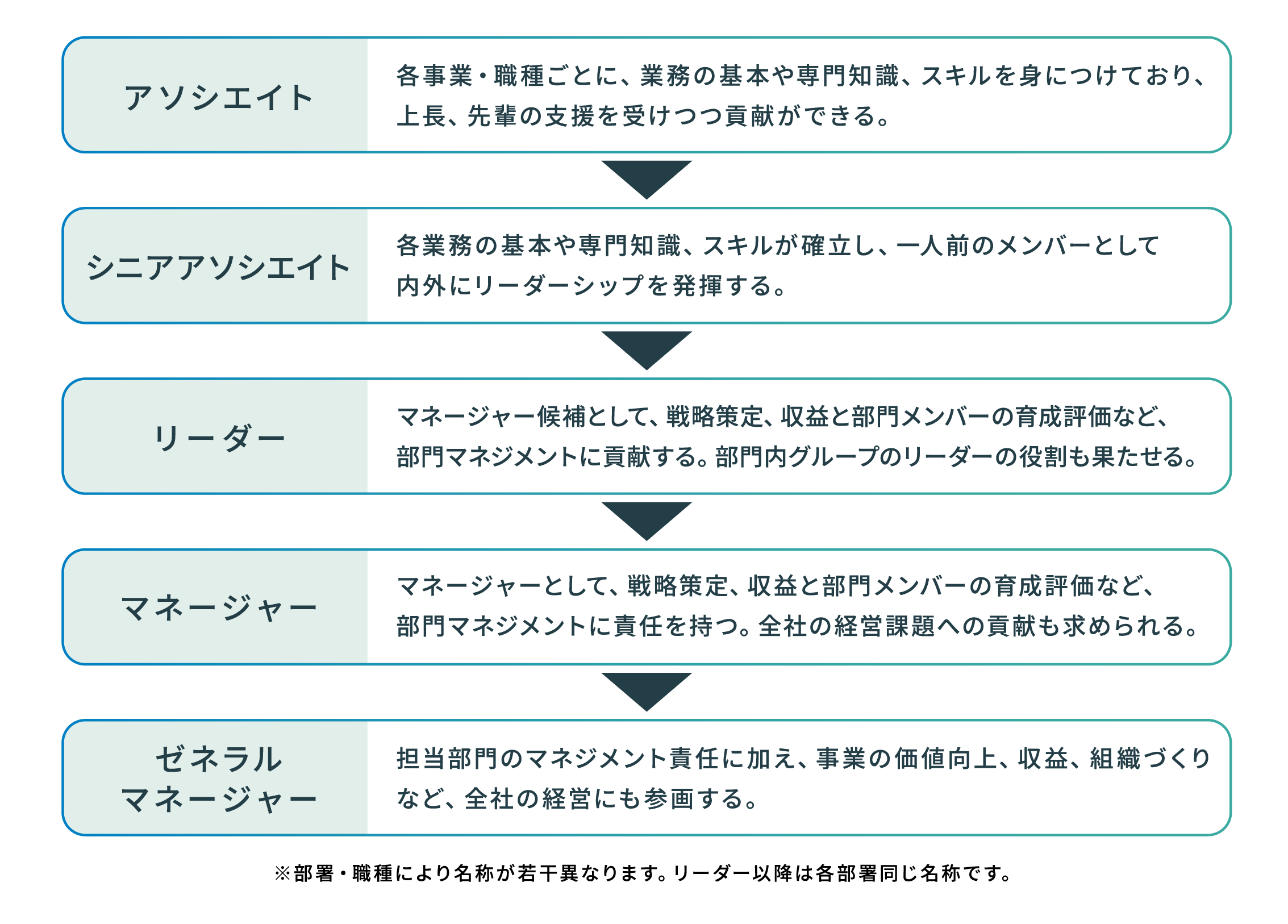 シーズ・ワンの評価制度とキャリアパス